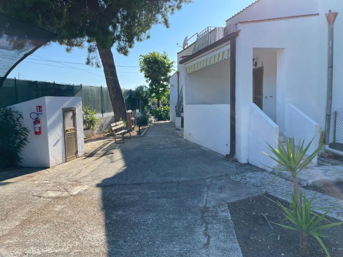 Appartamenti Le Porte Del Gargano Vieste Zewnętrze zdjęcie