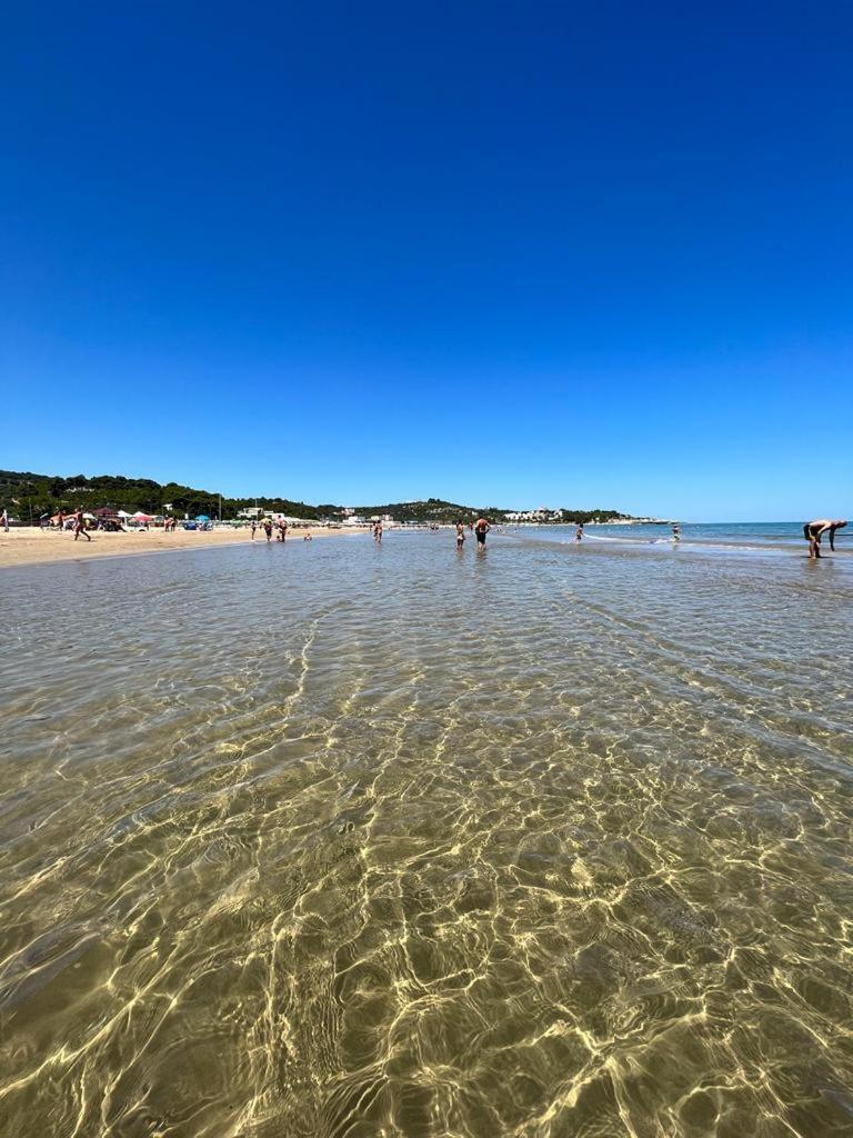 Appartamenti Le Porte Del Gargano Vieste Zewnętrze zdjęcie